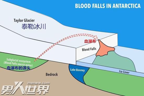 神秘南极血瀑布 谜团一个世纪后终于揭开