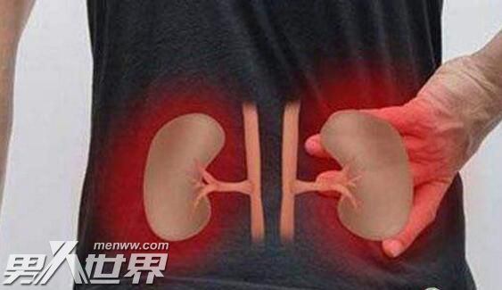 男人肾功能不好会影响什么