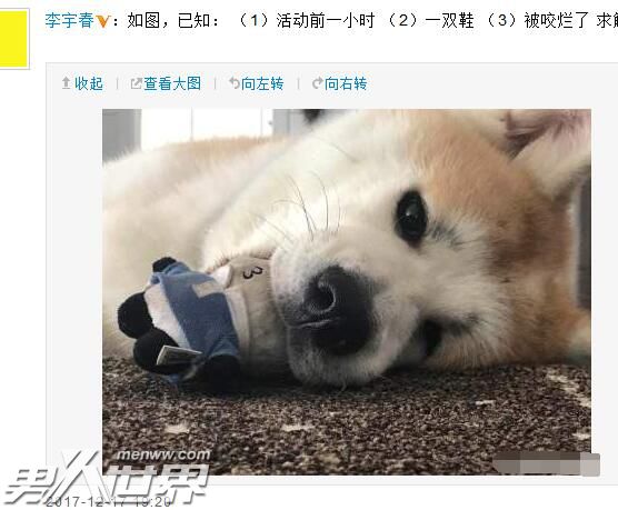 李宇春家的秋田犬太凶猛 