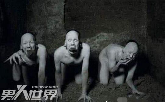 无毛僵尸