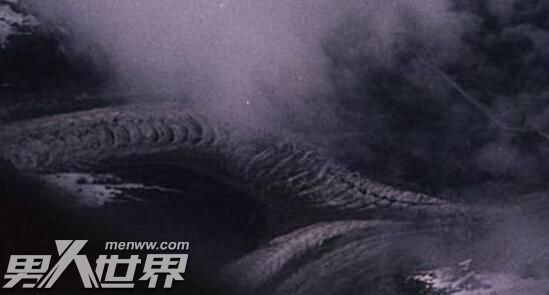 卫星拍到的真龙凤凰