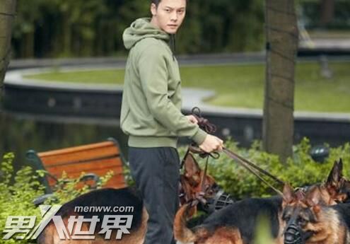 南方有乔木时樾的狗是什么品种