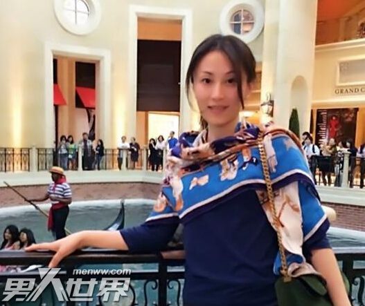 杨子前妻陶虹个人资料