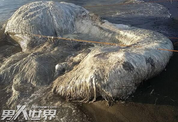 十大恐怖海怪传说