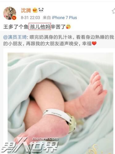 沈腾老婆生了男孩女孩