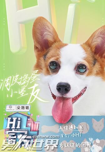 Hi室友中的小hi是什么品种