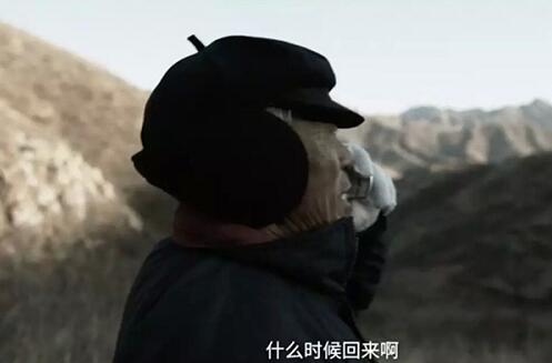 啥是佩奇讲了什么故事