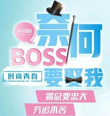 奈何BOSS要娶我刘贾玺演谁