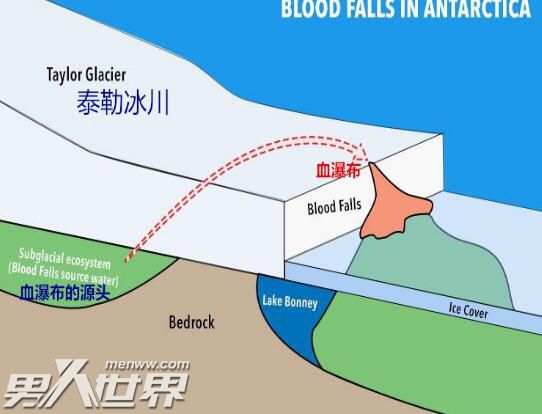 南极血瀑布是怎么形成的