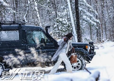 雪暴王太利演的谁