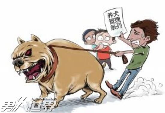 打金毛犬男子被拘