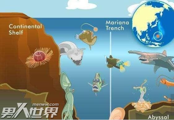 海底一万米有生物吗