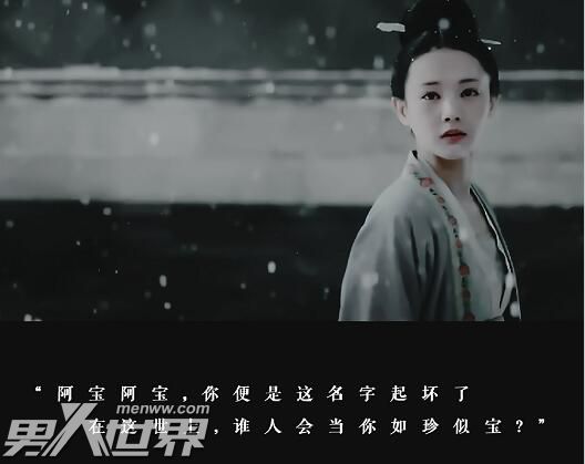 鹤唳华亭阿宝真实身份