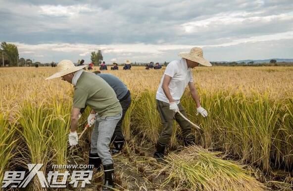 周杰捐献两万斤大米