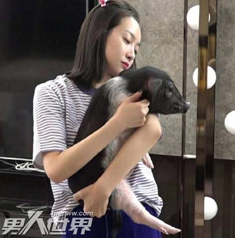 我家那闺女2宋茜煮的什么汤