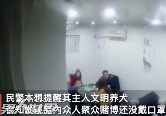 民警送狗子回家发现主人聚众赌博