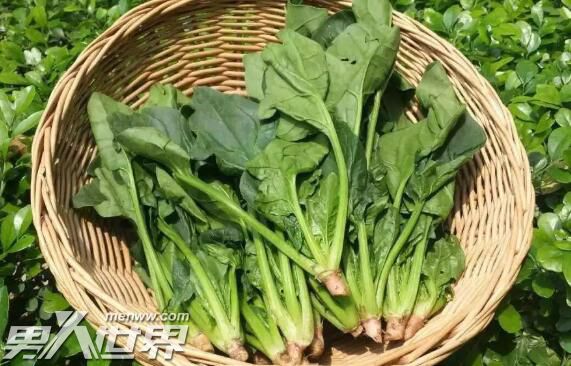 菠菜为什么要用热水焯一下
