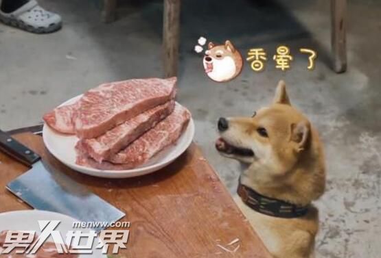 向往的生活张艺兴带的牛肉是什么肉