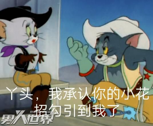 丫头文学什么梗