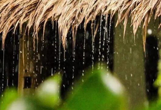 夏季为什么雨水多 我国降水多集中在几月