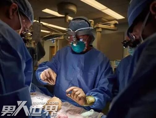 全球首个接受猪心脏移植病患死亡