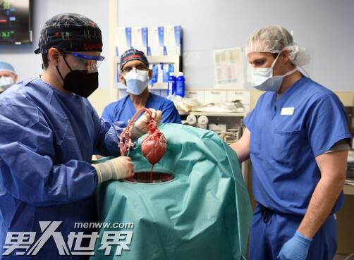 全球首个接受猪心脏移植病患死亡