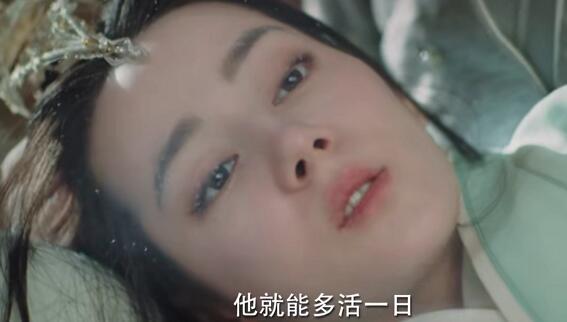 与君初相识纪云禾怎么重生的