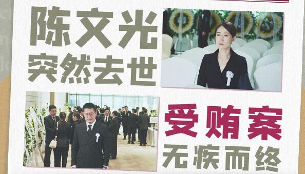 女士的法则陈文光是清白的吗 陈文光结局是什么