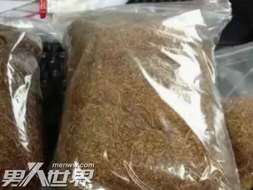 直播间以猫粮为暗号非法卖烟草