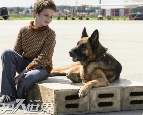 忠犬帕尔玛真实事件原型是怎样的