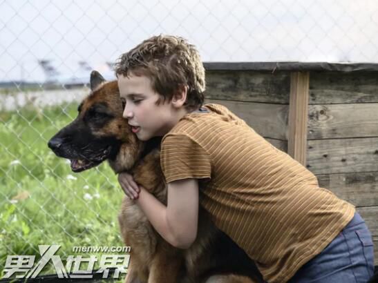 忠犬帕尔玛真实事件原型是怎样的