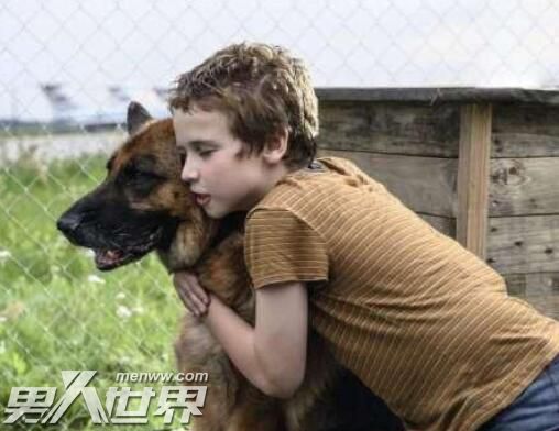 忠犬帕尔玛结局怎么样